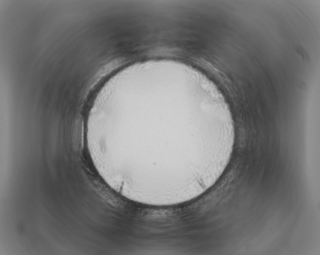 X0000111921219200909071210