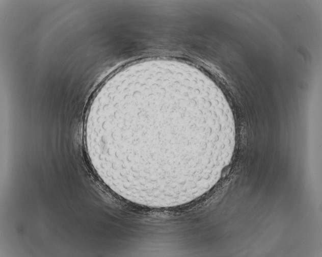 X0000111921220200909071210