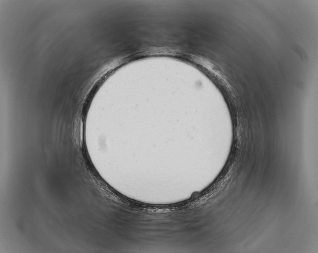 X0000111921221200909071210