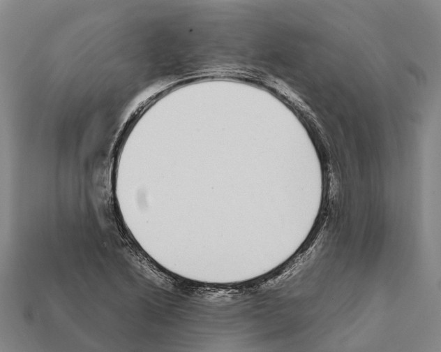 X0000111921222200909071210