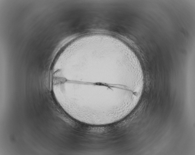 X0000111921223200909071210