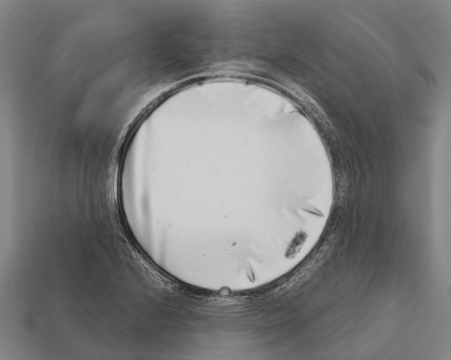 X0000111921224200909071210