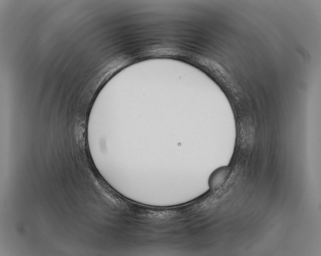 X0000111921225200909071210