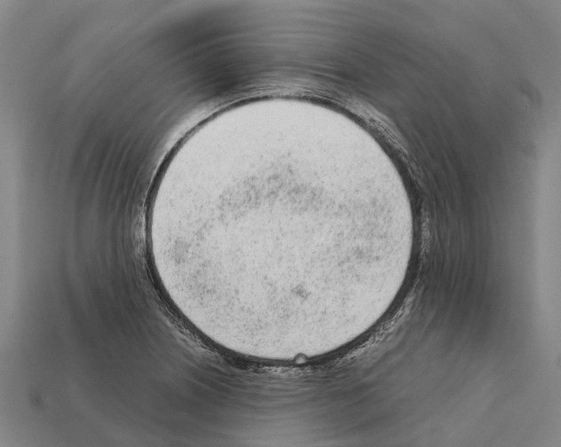 X0000111921226200909071210