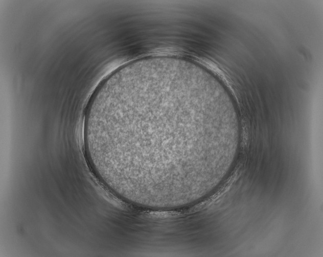 X0000111921227200909071210