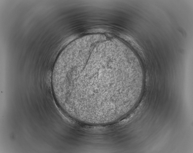 X0000111921233200909071210