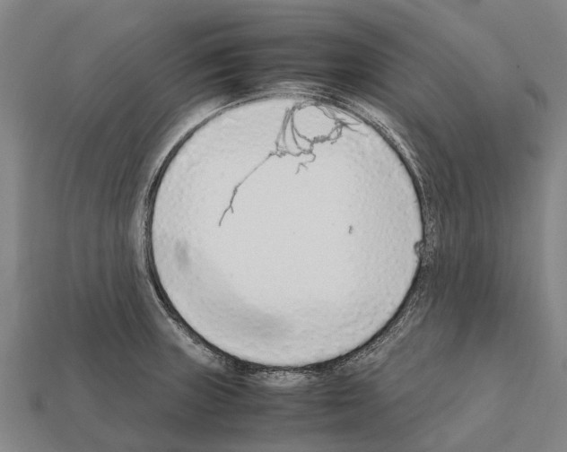 X0000111921235200909071210