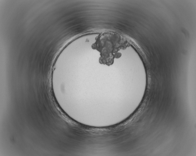 X0000111921236200909071210