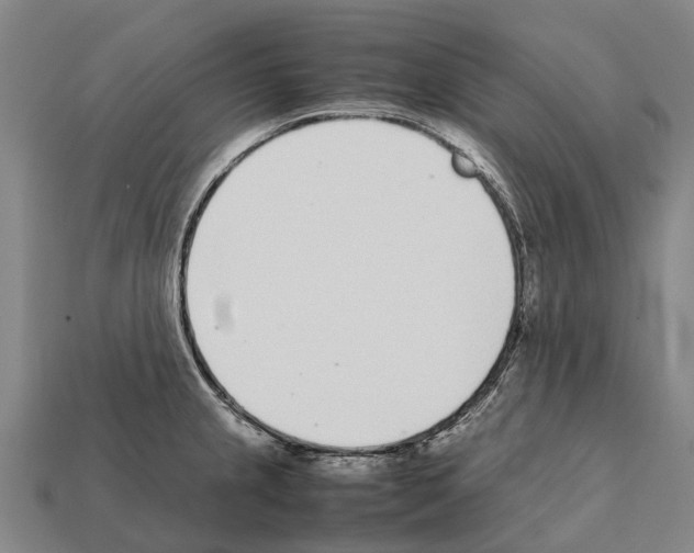 X0000111921237200909071210