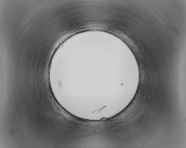 X0000111921240200909071211