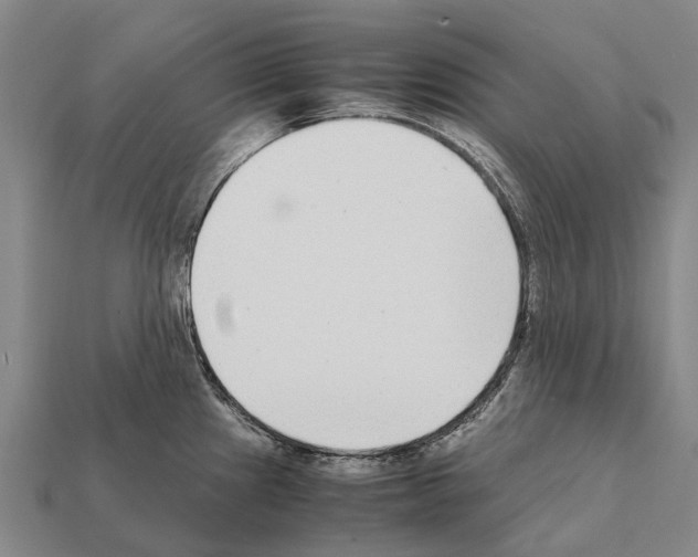 X0000111921241200909071211