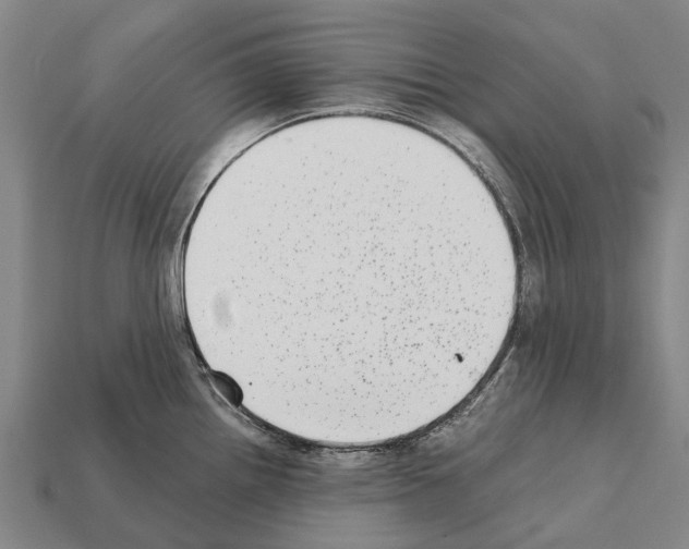 X0000111921242200909071211