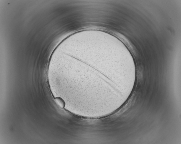 X0000111921244200909071211