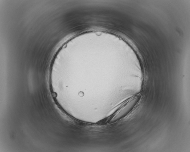 X0000111921245200909071211