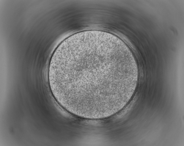 X0000111921246200909071211