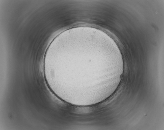 X0000111921247200909071211