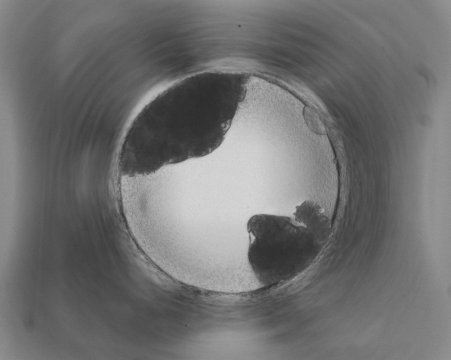 X0000111921248200909071211