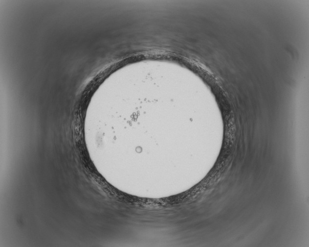 X0000111921255200909071210