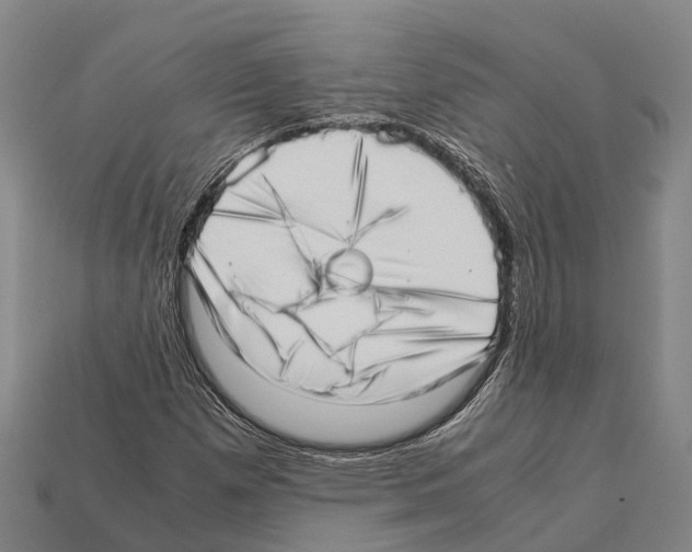 X0000111921257200909071210