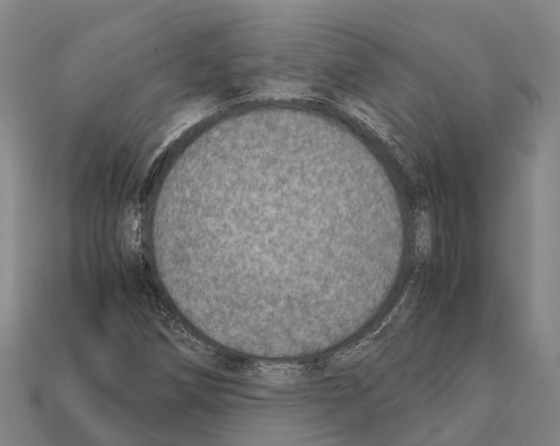 X0000111921258200909071210