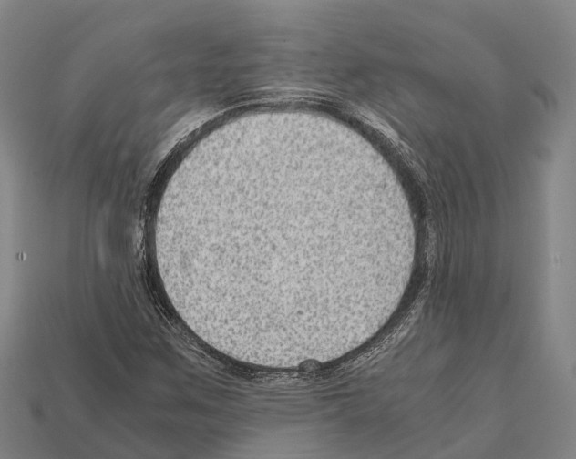 X0000111921259200909071210