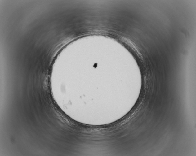 X0000111921260200909071210