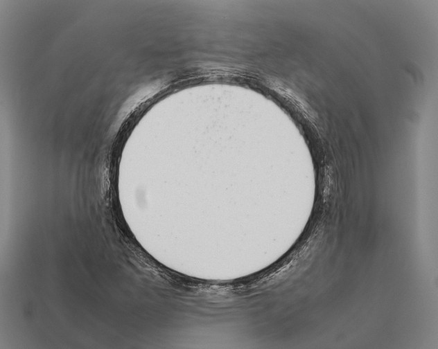 X0000111921261200909071210