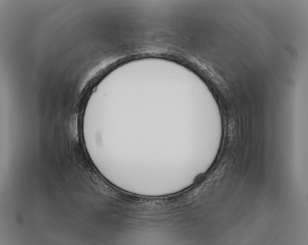 X0000111921262200909071210