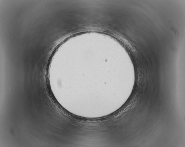 X0000111921264200909071210