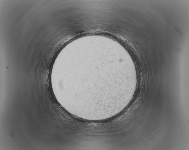 X0000111921265200909071210