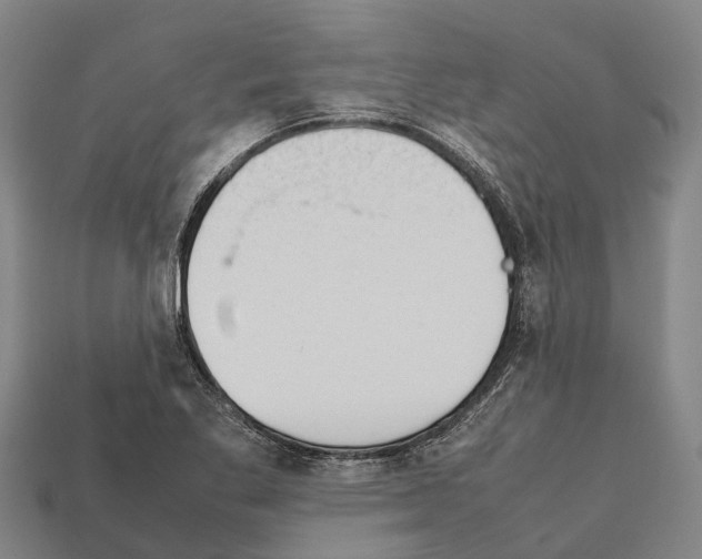 X0000111921269200909071210