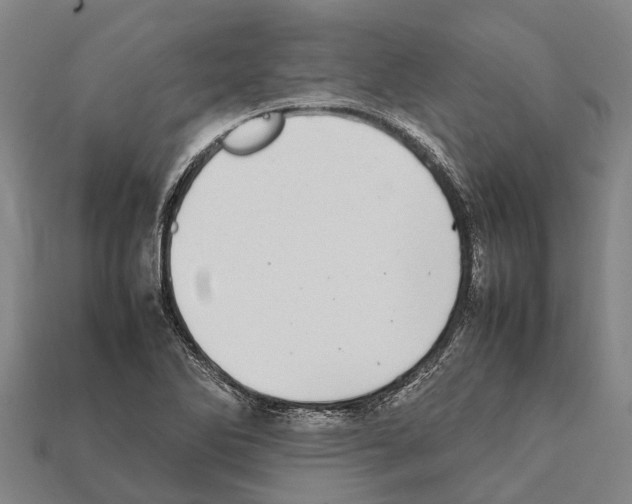 X0000111921270200909071210