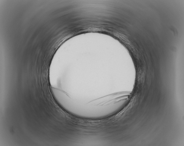 X0000111921273200909071210