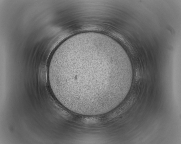 X0000111921274200909071210