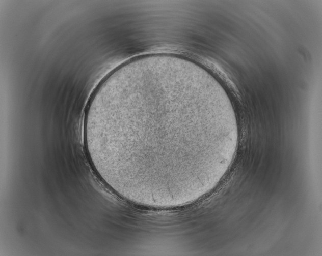 X0000111921276200909071210