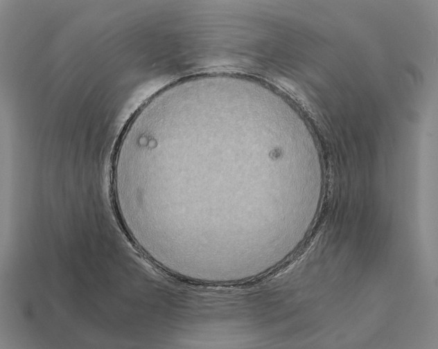 X0000111921277200909071210