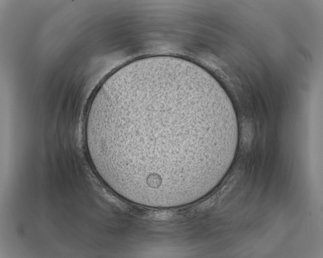 X0000111921278200909071210