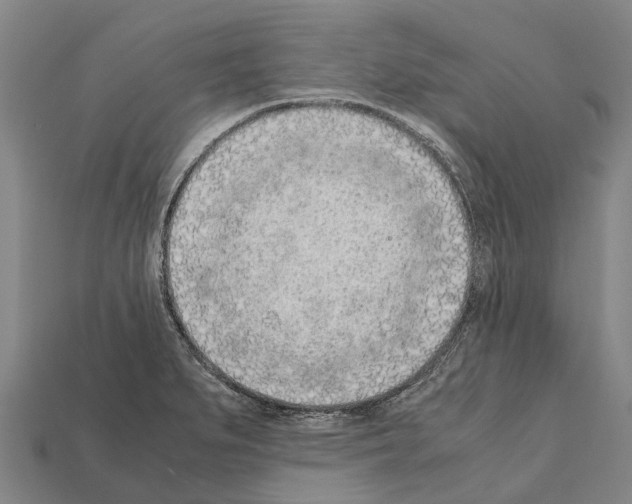 X0000111921279200909071210