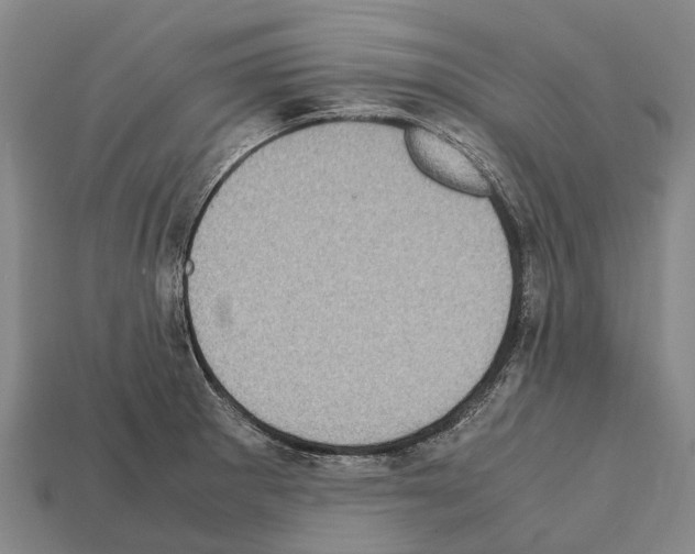 X0000111921281200909071210