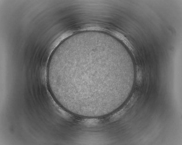 X0000111921282200909071210