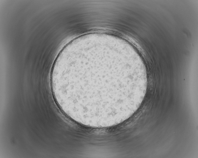 X0000111921283200909071210