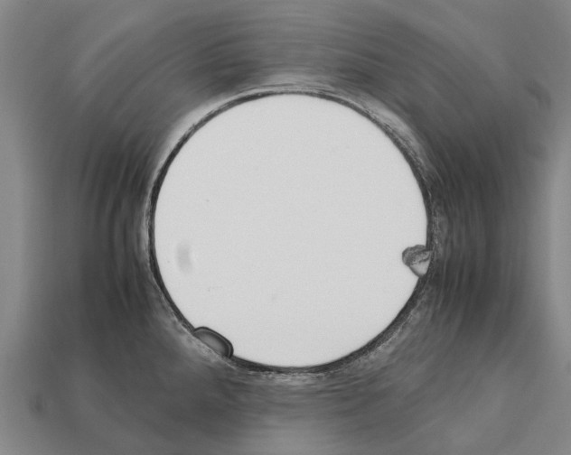 X0000111921288200909071209