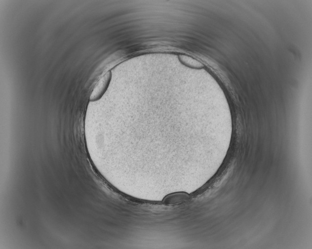 X0000111921289200909071209