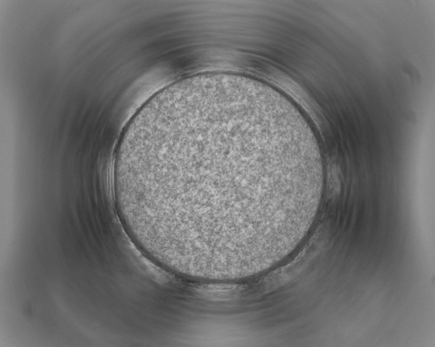 X0000111921290200909071209