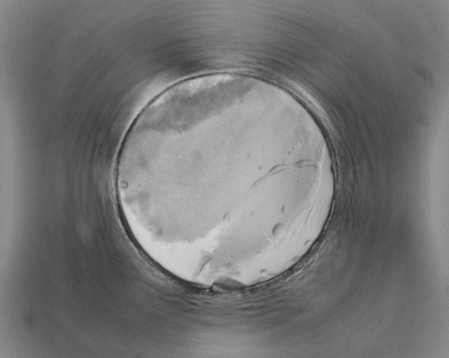 X0000111921291200909071209