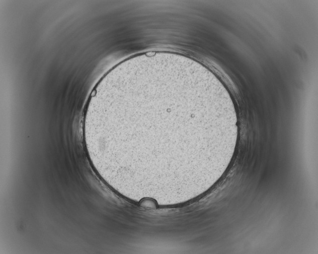 X0000111921292200909071209