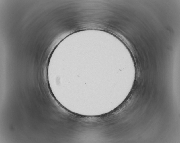 X0000111921293200909071209