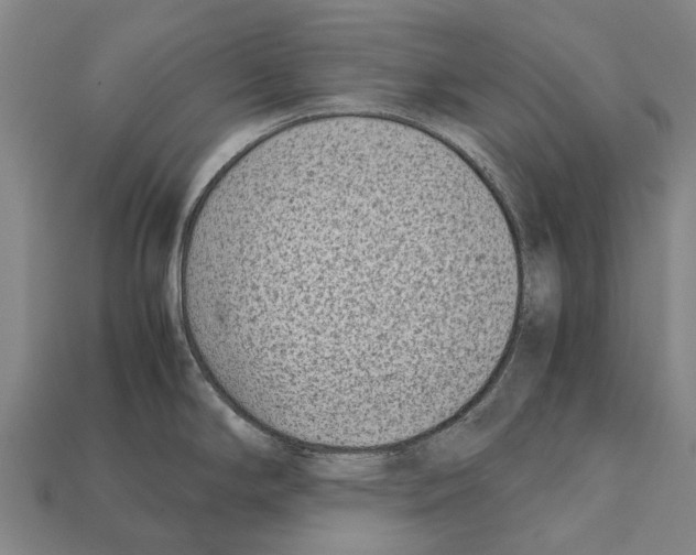 X0000111921294200909071209