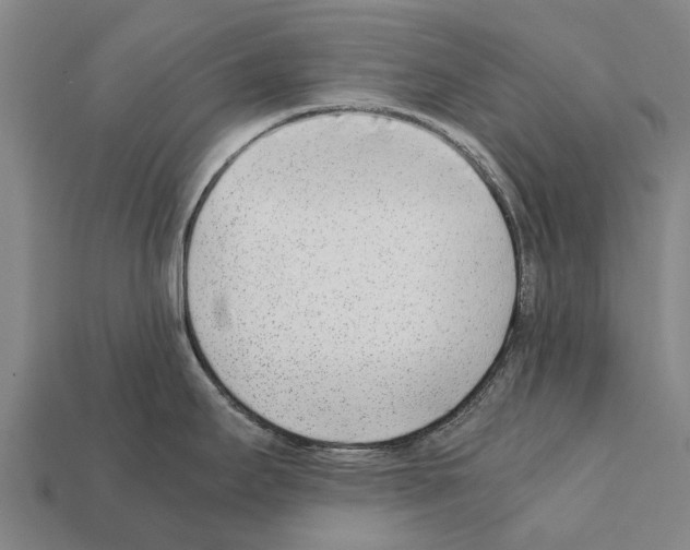 X0000111921295200909071209