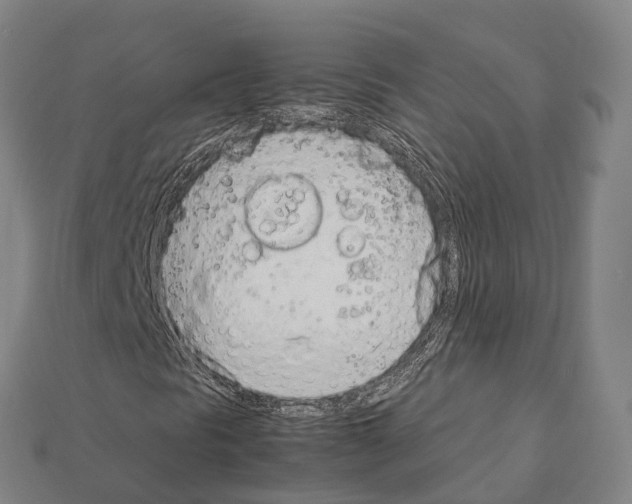 X0000111921297200909071209